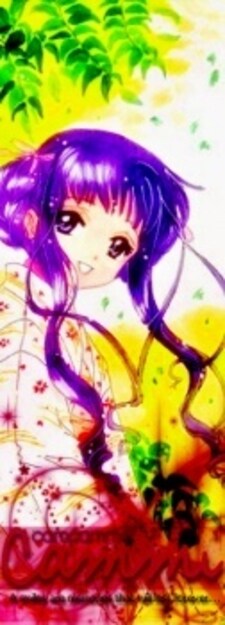 camcammii