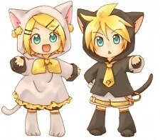 fudgecak3