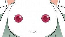 NoanimeNolife12