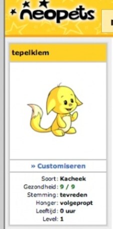 renskewubbel