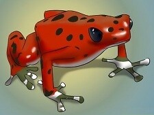 Frogium
