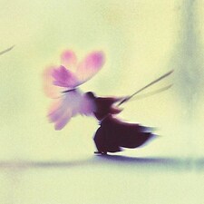 clearmorning