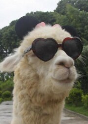 WeebLlama