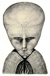Gsarthotegga